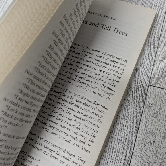 Lord of the Flies Book - Picture 3 of 5